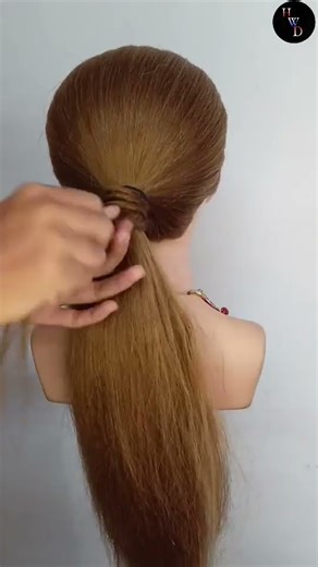 Hair Net Tutorial #shorts #hairstyle