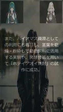 【環境】エコ環境ニュースまとめ-2025年09月