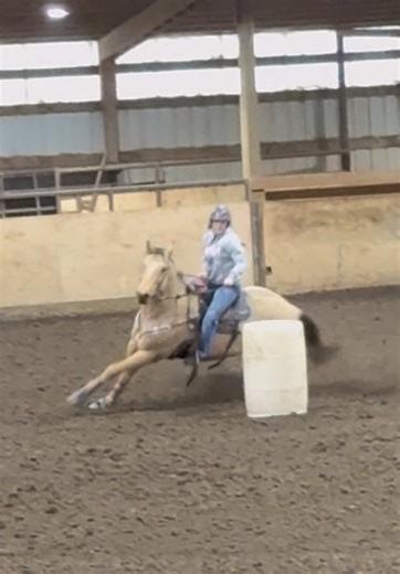 Experiencing the Thrill of Running a 1D Horse