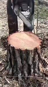 Transform a Stump into a Solid Wood Stool - DIY #viralvideo #reelsfacebook #short #foryou | Dhong's Gerald'Tv 2.0 vlog