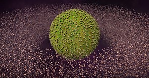 GPU Instancer Pro | Utilities Tools | Unity Asset Store