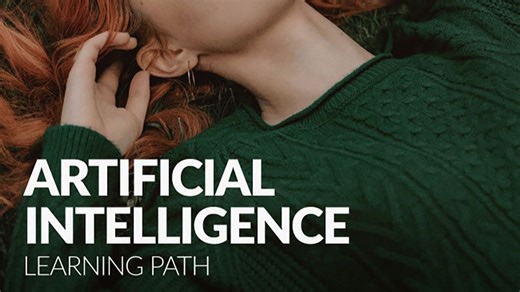 [独家AI翻译] PS/LR照片AI智能修图合成调色基础知识课程 中英文字幕 Phlearn – AI Learning Path