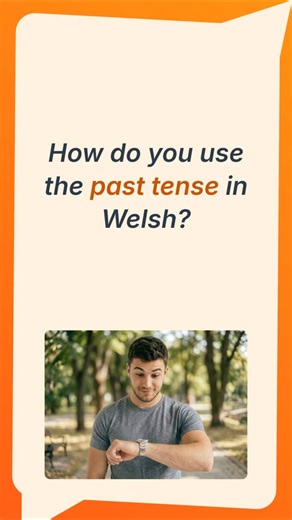 How do you use the past tense in Welsh?