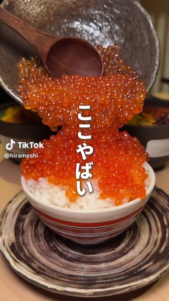 博多の高級海鮮酒場で本格寿司を楽しむ