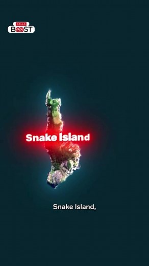 Exploring the Dangers of Snake Island in Brazil
