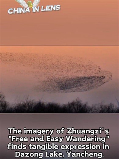 The imagery of Zhuangzi's