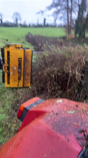 Expert Guide to Hedge Cutting Around Fences