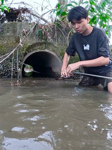Bo bo thái xuyên cống nước?