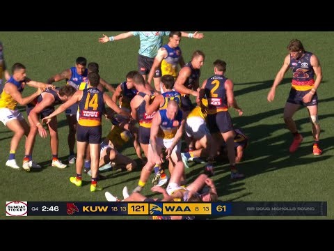 BIGGEST FIGHTS IN THE AFL 2025 (MEGA COMPILATION)