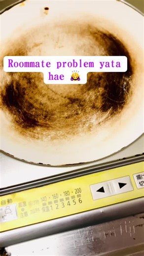 Roommate Problems: Finding Solutions Together