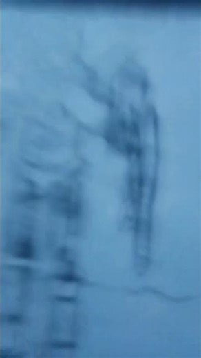 i draw gipsy danger!