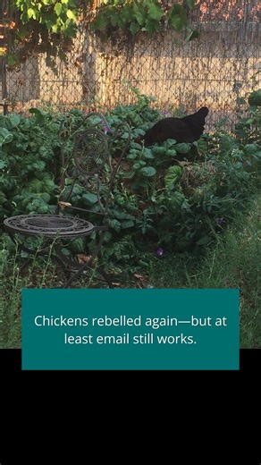 Real talk: I have no idea how this platform works anymore. One day you see my posts. The next, I'm shouting into the void while Ramona-the-cat judges me. But email? Email is _ours_. No algorithm decides who gets to hear about new book releases, research rabbit holes, or the time my chickens staged a coup. If you want unfiltered writer chaos delivered directly to you, signup at JamieThornton.com/Newsletter I promise to only use this power for good. (And occasional book promos.) | Author Jamie Tho