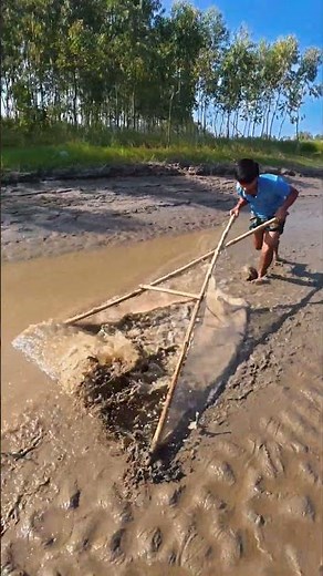 Lots of Small Fish Catching with Push Net in River Water
