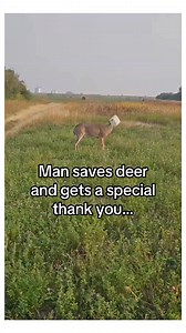 Right place at the right time! #animals #wholesome | StoryTime