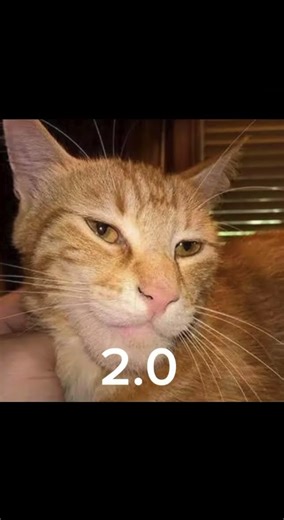 I’m finally done with the new evil explosion chamber 😃￼￼