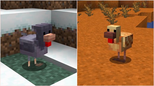 Cold vs warm chickens in Minecraft: What's the difference?