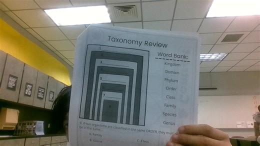Taxonomy Review Word Bank: Kingdom Domain Phylum Order Class F... | Filo