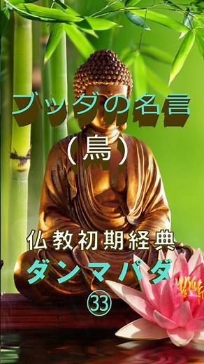 ブッダの名言（ダンマパダ㉝） #shorts #ブッダ #仏教 #仏陀