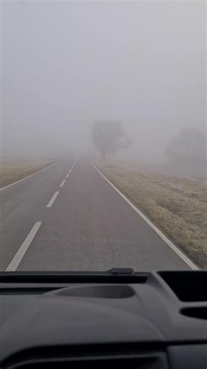 toni santaniello & angela (@toni.angela)’s videos with suono originale - DADE J. BOVO