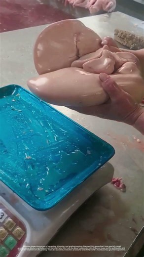 Harvesting Premium Foie Gras | The Process of Extracting and Trimming Luxury Goose Liver