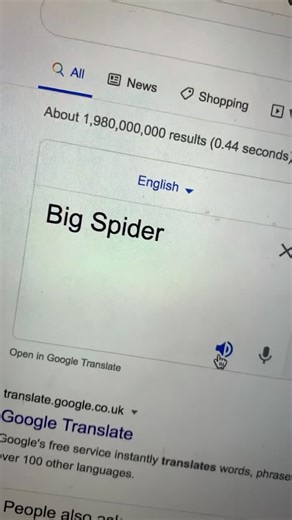Exploring the Limitations of Google Translate