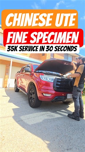 GWM CANNON SERVICE IN 30 SECONDS!