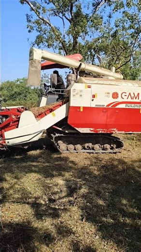 Paddy cutting machine