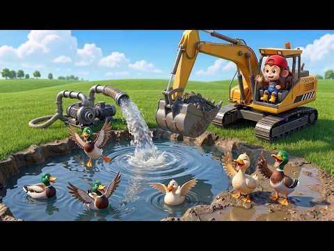 Funny Mokey Rescuing A Sheep From A Giant Python, Digging A Pond With An Excavator | Monkey Cartoon