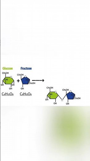 #Structure of Carbohydrates (Chapter - 9 Biomolecules)