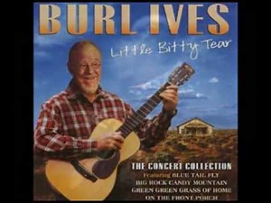 Burl Ives - Funny Way Of Laughin' (1962 Music Video) | #33 Country Song