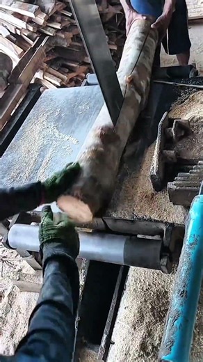 The process of sawing teak, mahogany and rubber wood for block materials #shorts #wooddesigner #wood