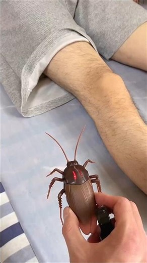 Fake Cockroach Prank Gone Wrong 😱#shorts #shortsfeed