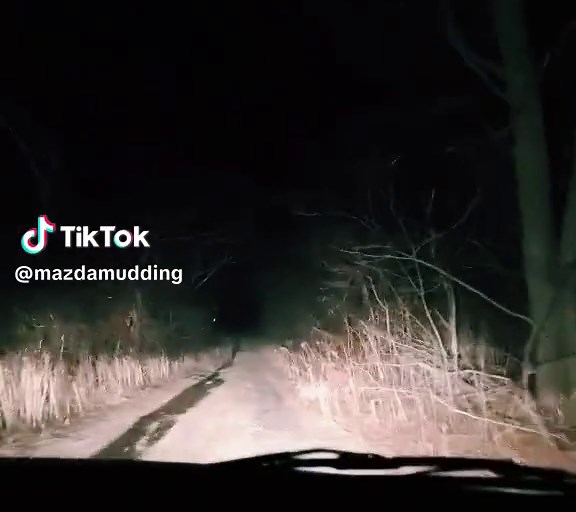 Not sure where we were but we had fun @Nicollette #mudding #muddingmazda #offroad #canada #ontario #mazda3 #mazda #manualcar #muddin #mazdaoffroad #harrypotter #trees #mud #carguy #cars #offroadcars #locationunknown