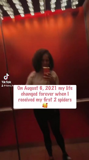 The Impact of Onyx and Rose Spiders Worldwide