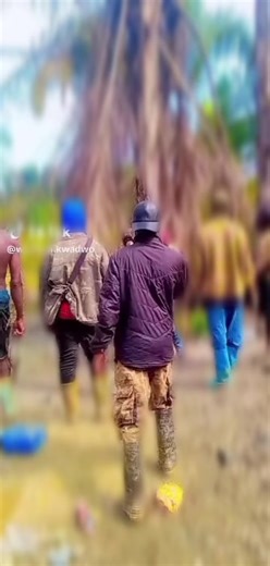 Area Numbers (@area.numbers)’s videos with son original - lesmannequinsderueoffic2