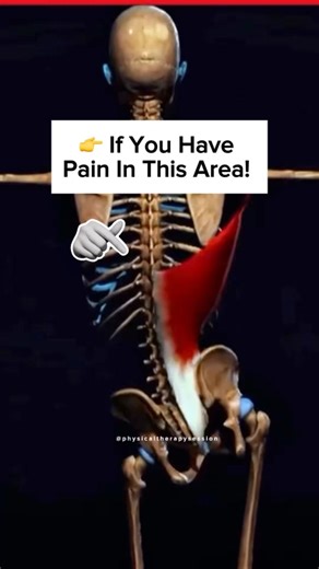 This simple move melts away that deep, nagging latissimus dorsi pain, the one that shoots from your mid-back to your side, and even tugs on your shoulder when you reach overhead. Try this magnificent technique and feel your upper body open up, breathe easier, and move smoother in minutes. #fblifestyle #backpain #lowbackpainrelief #trendingpost #physicaltherapy | Physical Therapy Session