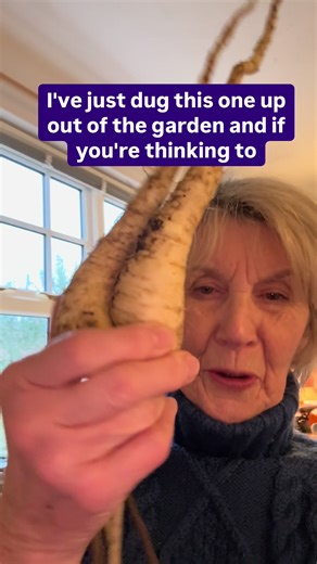 Chocolate chip loaf (with parsnips) Recipe at the end. #parsnip #baking #growyourownfood