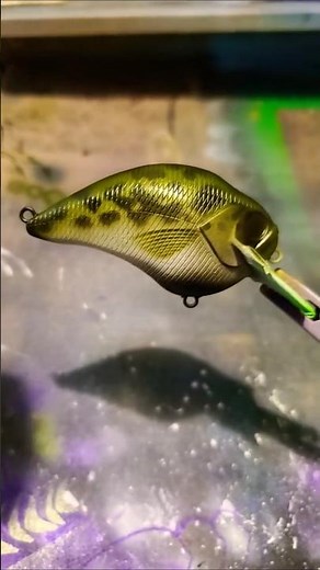 Quick Basic Bass Shallow Crank #Pearl #video