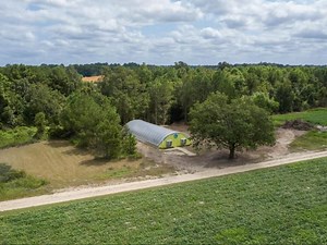 Benefits of buying local: Why it pays to know where you grow