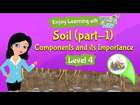 Components of Soil | Science | Grade 3 & 4 | TutWay