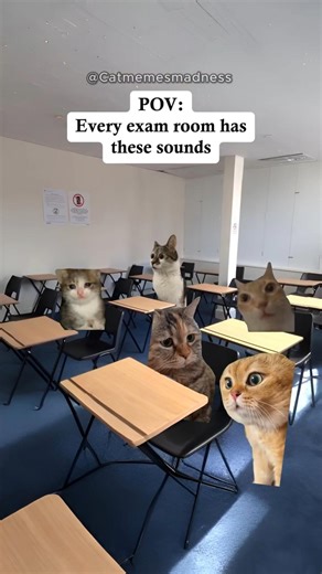 POV: Every Exam Room Has These Sounds 😂 #relatable #funny #catmemes #fyp #school