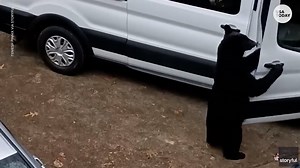 Looks like the bear had a taste for popcorn! | USA TODAY Video