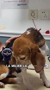 Increíble pero Cierto: Historias que Te Sorprenderán 😨 #curiosidades #divertido #amor #asombroso #animals #interesante #inspirados #fblifestyle | inspirados