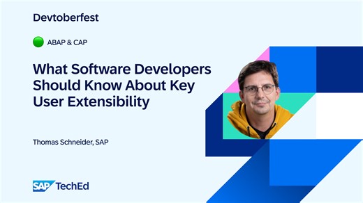 🟢 What Software Developers Should Know About Key User Extensibility