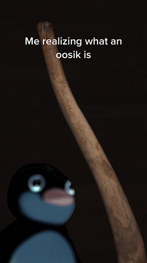 Fossilized oosiks, or penile walrus bones, have survived for millennia in the icy Arctic. Scientists aren’t certain what the bone is for, but hypothesize that the bone helps them reproduce more competitively by allowing them to mate for hours at a time. 😳 #oosik #fossil #fossils #ripleysrarities #nootnoot