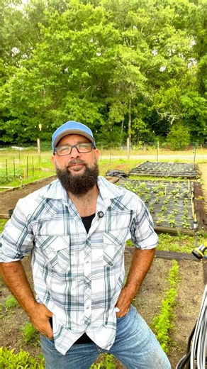 29K views · 524 reactions | Food waste is doing so much damage. The commercialization of food and taking out of the backyard has not only homogenized our food, it means we waste almost half. Take back our food system. Do your part. Grow a garden. You don’t need to be a farm or a homestead. The benefits outweigh the work, and not just for your health and wallet. For the whole world. | Greenhorn Grove | Facebook