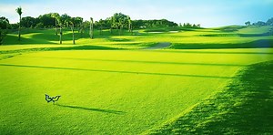 Twin Doves Golf Club - Vietnam Golf Agency | Book Tee Time - Tour - Indoor Golf