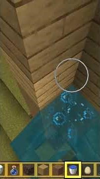 how to make invisible ladder in pixel craft city and works in minecraft too