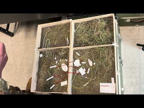 K2 - Castino - Rylen - Squad Execution Assessment