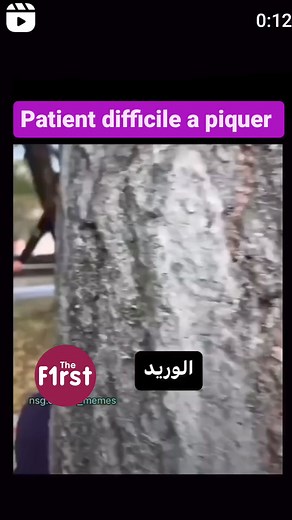 The First Doctors on Reels